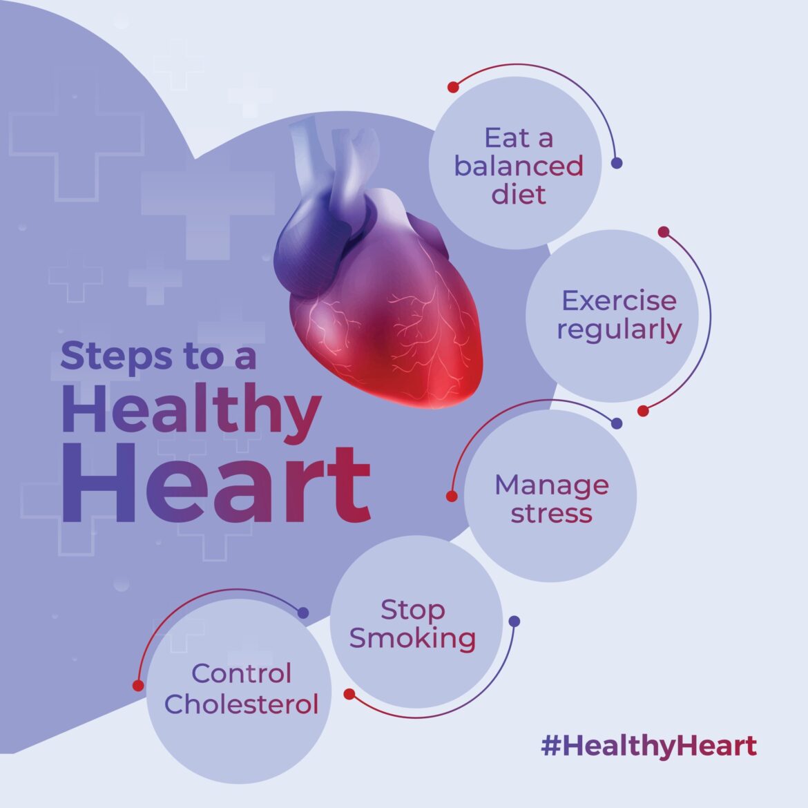 Tips for Maintaining a Healthy Cardiovascular System